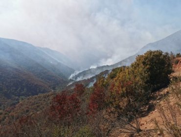 1.150 hectáreas ha consumido incendio forestal que se mantiene activo entre Quilpué y Limache