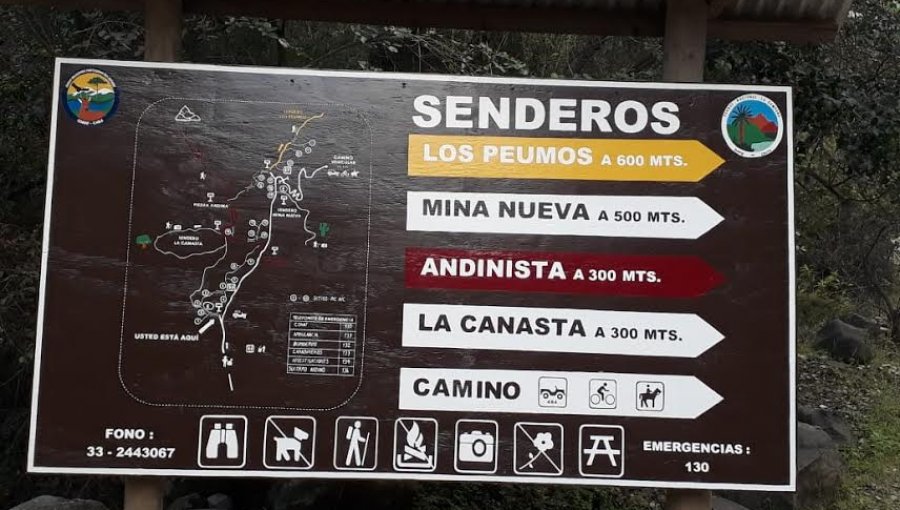 Mejoran infraestructura de sendero que permite ascender a cumbre del cerro La Campana