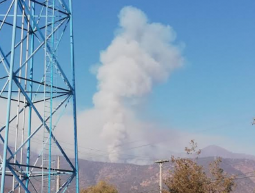 Incendio forestal en Marga Marga bajó su intensidad en Quilpué, pero aumentó en Limache