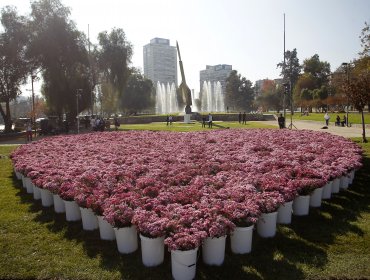 Con un gran corazón de crisantemos de Hijuelas celebraron a las madres en Providencia