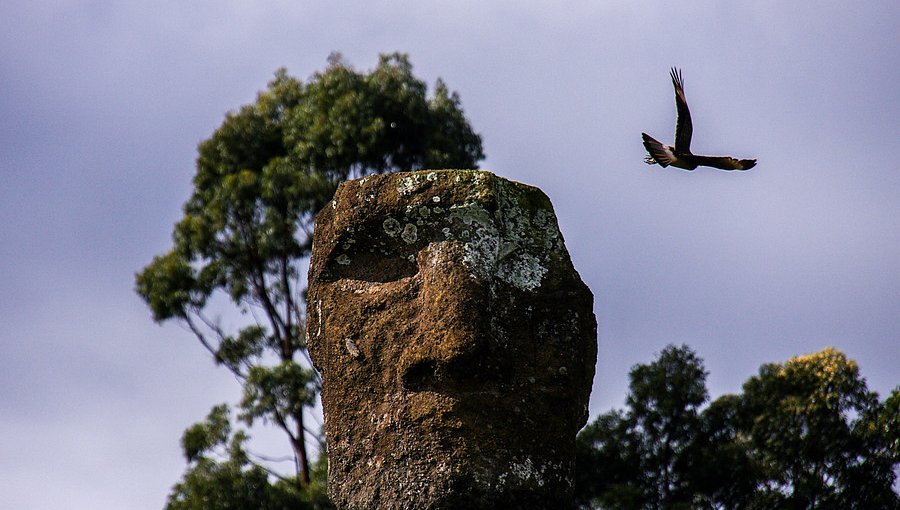 La otra crisis de Rapa Nui: se encuentra sin turismo y casi paralizada por la pandemia