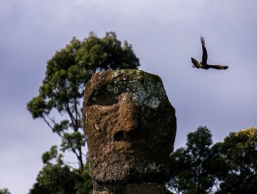 La otra crisis de Rapa Nui: se encuentra sin turismo y casi paralizada por la pandemia