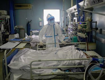 Cifra de fallecidos llega a 347 personas, tras reporte con 12 nuevos decesos en Chile