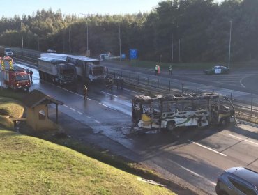 Intendente califica de "terrorista" nuevos ataques incendiarios en La Araucanía