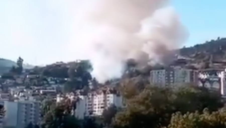 Alerta Roja en Viña y Quilpué por incendio forestal que se acerca a zona residencial de Villa Hermosa