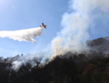 Zapallar: Incendio forestal que había sido controlado en El Melón registra fuerte reactivación