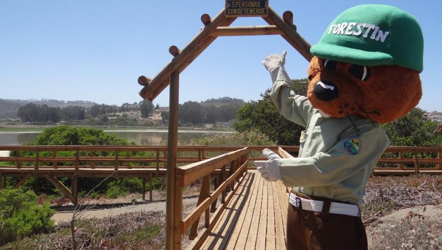 Conaf celebró 50 años al servicio de los bosques y la naturaleza