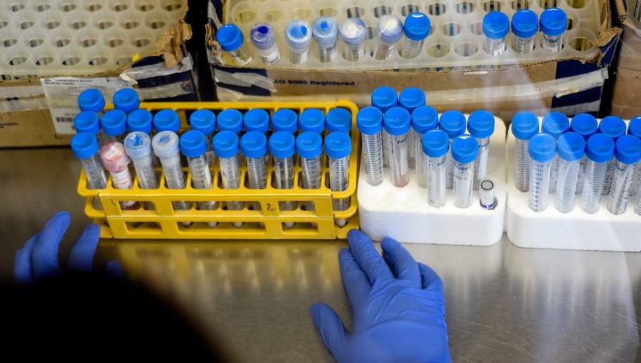 Reportan 2.502 casos nuevos de Covid-19 en Chile: 124 pacientes están en estado crítico