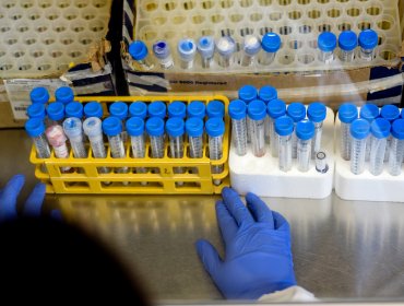 Reportan 2.502 casos nuevos de Covid-19 en Chile: 124 pacientes están en estado crítico