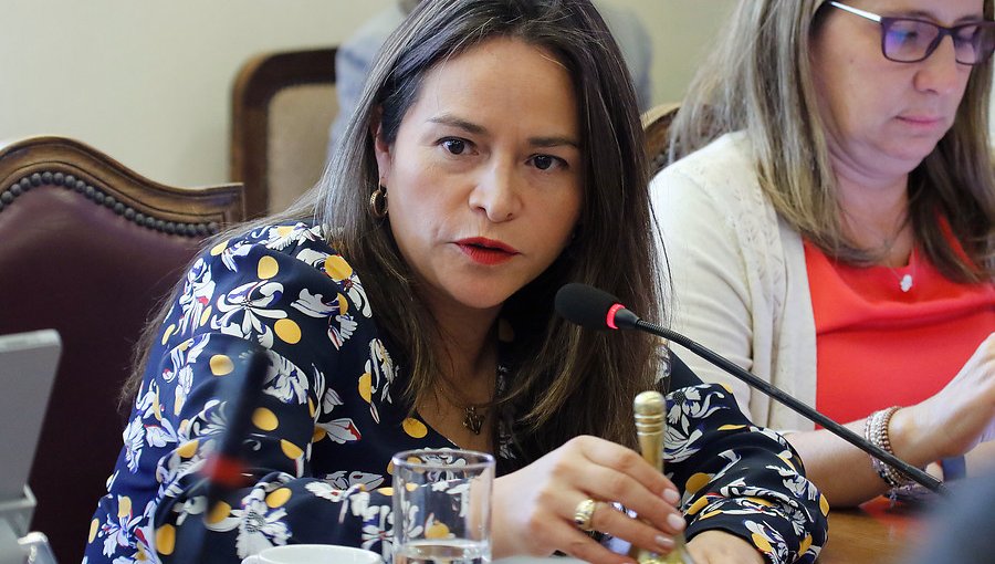 Diputados DC critican al Gobierno por entrega de canastas de alimentos: ofician para que se transparenten las compras