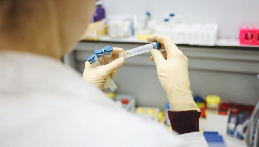 Comisión de Salud propone al Minsal aplicar otros procedimientos para confirmar fallecidos por Covid-19