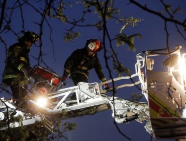 Emergencia en piso 10 de un céntrico edificio en Viña del Mar movilizó a bomberos