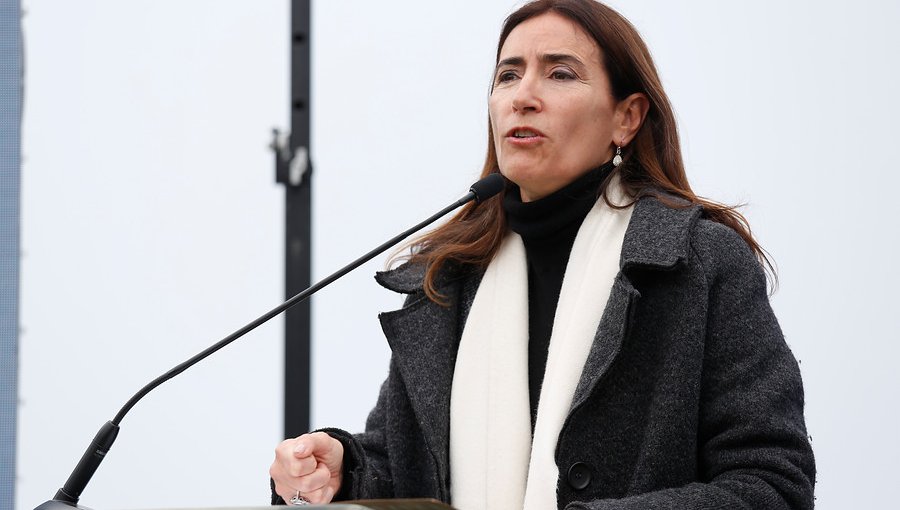 Ministra del Medio Ambiente valoró el cierre anticipado de centrales Bocamina 1 y 2 en Coronel