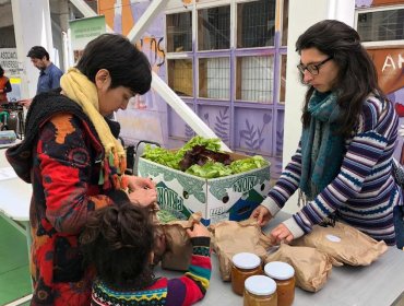 Cajas con alimentos: Decana de Salud de la UPLA propone aplicar una estrategia alimentaria integral