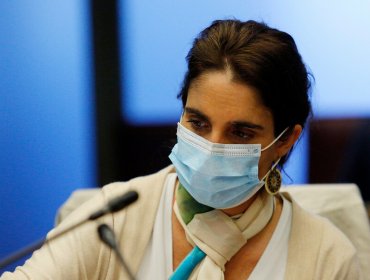 Ministra del Trabajo presentó ante senadores alternativas al postnatal de emergencia