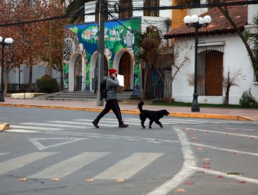 Peñaflor y las zonas urbanas de otras cinco comunas también ingresarán a cuarentena