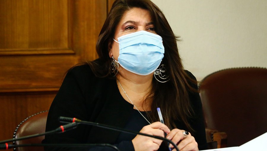 Diputada Mix interpone denuncia contra Desarrollo Social por la entrega de cajas de alimentos