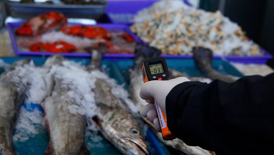 Sernapesca descarta que exista evidencia de transmisión de Covid-19 desde peces a humanos