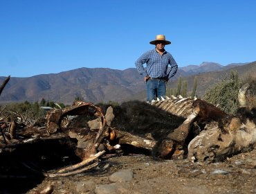 Corte Suprema acoge recurso por derecho al agua potable en Petorca, La Ligua y Cabildo