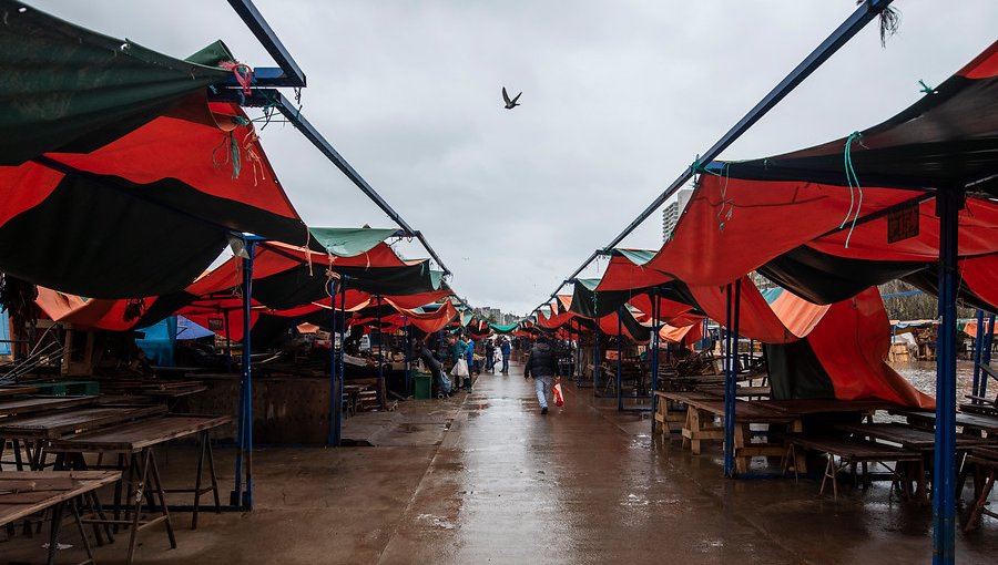 Baja afluencia de público marca jornada en las ferias de Valparaíso y Viña del Mar