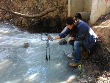 Investigadora UPLA lideró estudio que evidencia mala calidad del agua de estero El Sauce de Valparaíso