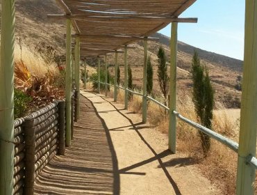 Cerca de 300 personas han ingresado de manera ilegal al Parque Urbano Natural La Ligua