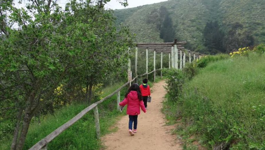 Conaf elabora novedoso proyecto de arborización y restauración en el Parque Urbano Natural La Ligua