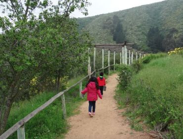 Conaf elabora novedoso proyecto de arborización y restauración en el Parque Urbano Natural La Ligua