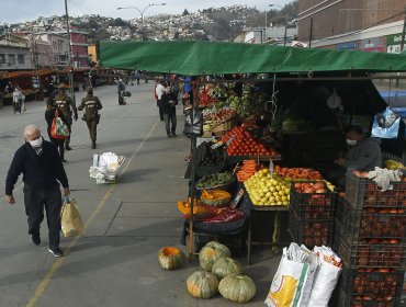 Proyecto de ley busca prohibir suspensión de ferias libres durante la pandemia