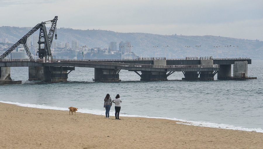 Conozca de qué comunas son los 256 casos nuevos de coronavirus en la región de Valparaíso