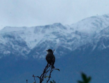 Alerta Preventiva en San Felipe y Los Andes: lluvias en la cordillera podrían generar remociones en masa