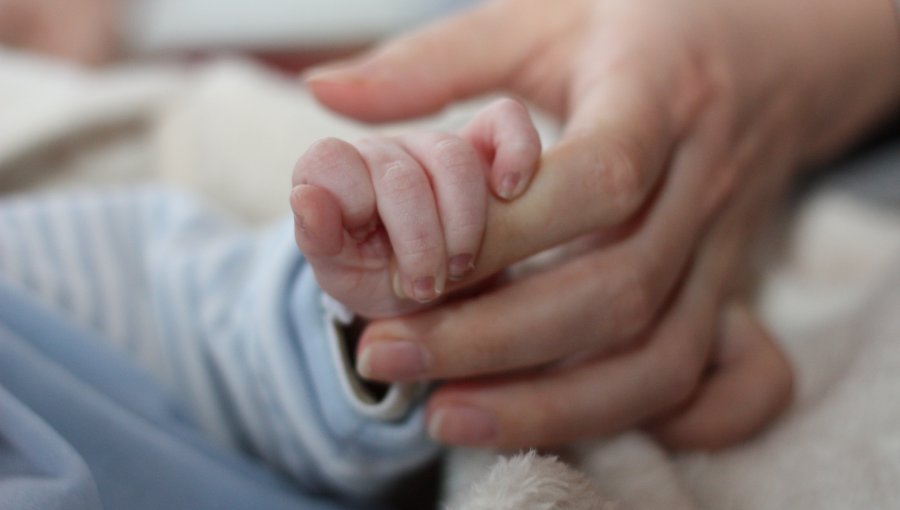 Cámara aprueba admisibilidad del proyecto de postnatal de emergencia: iniciativa pasa al Senado