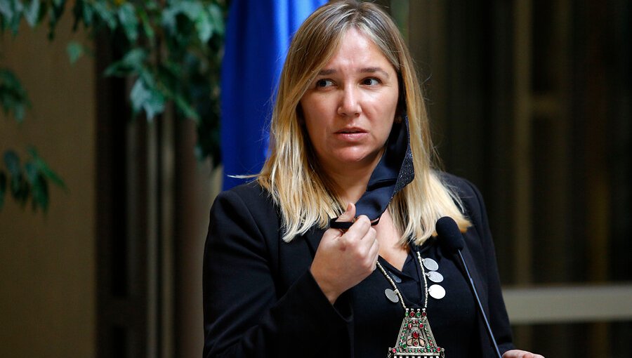 Diputada Hoffmann lamenta promulgación de ley de reelecciones y la atribuye al "celo" de parlamentarios a alcaldes con "buena evaluación"