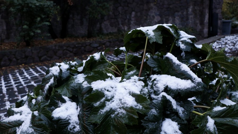 Reportan caída de nieve en Lo Barnechea y otros sectores de la Región Metropolitana