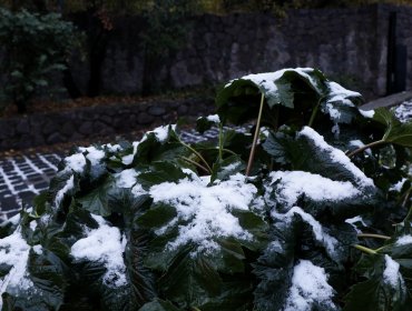 Reportan caída de nieve en Lo Barnechea y otros sectores de la Región Metropolitana