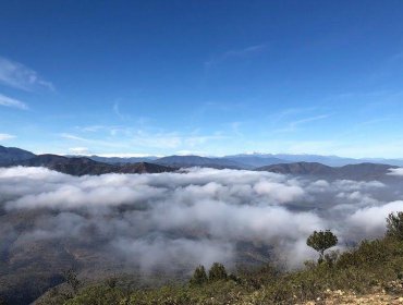 Cerro Santa Inés fue declarado como nuevo Santuario de la Naturaleza entre las regiones de Valparaíso y Coquimbo