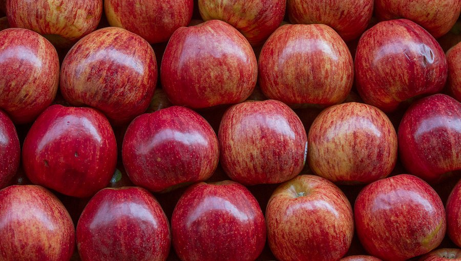 Chile y Perú comienzan a operar con certificación electrónica para el intercambio de productos de origen vegetal