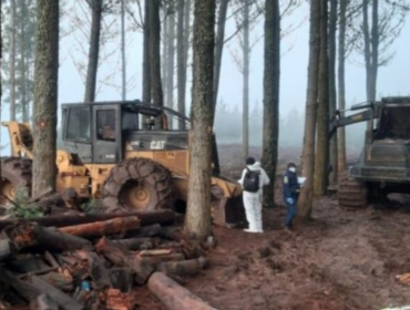 Tres máquinas forestales resultaron destruidas tras ataque incendiario en Nueva Imperial