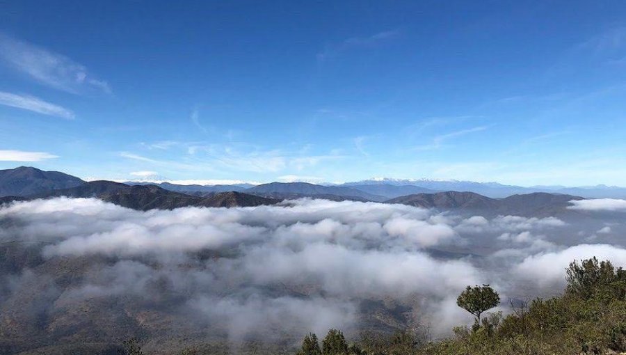 Cerro Santa Inés fue declarado como nuevo Santuario de la Naturaleza entre las regiones de Valparaíso y Coquimbo