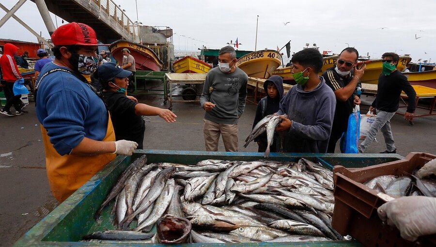 Gobierno publica protocolo sanitario para ventas en caletas de pescadores