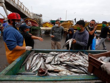 Gobierno publica protocolo sanitario para ventas en caletas de pescadores