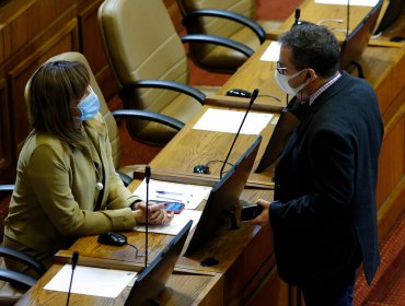 Bancada PPD y polémico voto de Loreto Carvajal contra Jorge Brito: "No nos representa"