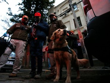 Fiscalización sanitaria en Independencia permite detener a 23 personas en sólo media hora: 21 infringieron cuarentena