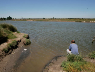 Santo Domingo: Lagunas de la Reserva Nacional El Yali vuelven a acumular agua tras intensas precipitaciones