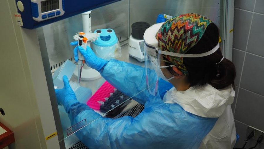 En tres semanas, Laboratorio Covid-19 de la UPLA diagnostica a mil pacientes: 30% dieron PCR positivo
