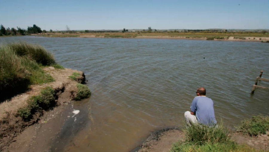 Santo Domingo: Lagunas de la Reserva Nacional El Yali vuelven a acumular agua tras intensas precipitaciones