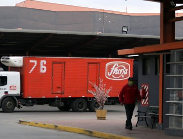 Dirección del Trabajo multó a Fruna por infracción a la protección de la maternidad