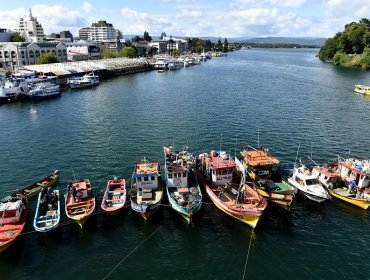 Comienza proceso de desconfinamiento gradual en las regiones de Los Ríos y Aysén