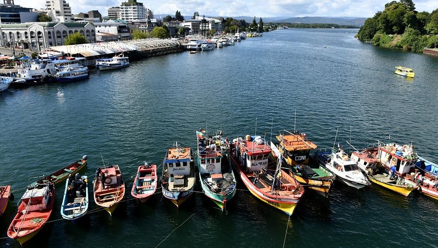 Comienza proceso de desconfinamiento gradual en las regiones de Los Ríos y Aysén