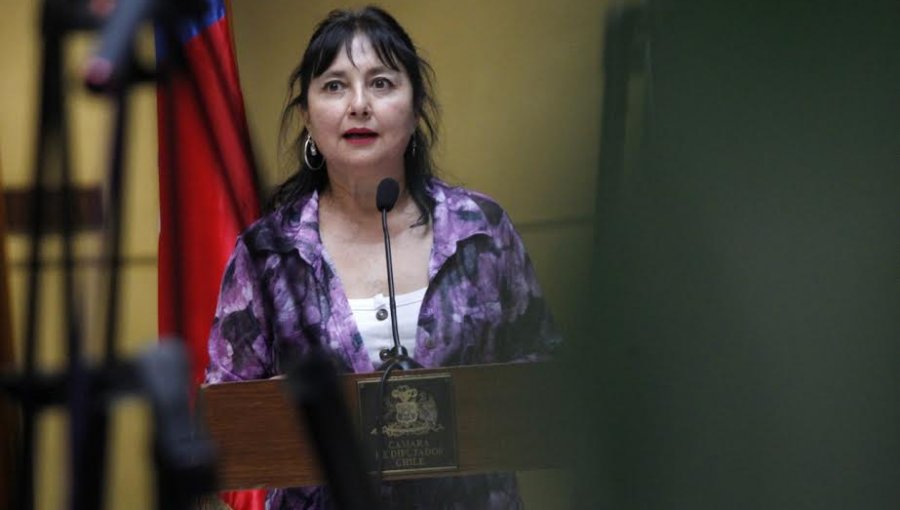 Diputada Marzán: "Es la gente que debe decidir si retiran el 10% de las AFP o acceden a los beneficios del Gobierno"